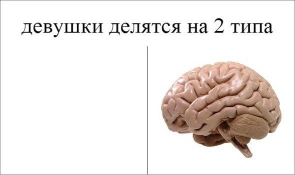 Картинки про мозги с приколом